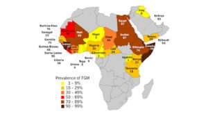 Prevalence of FGM